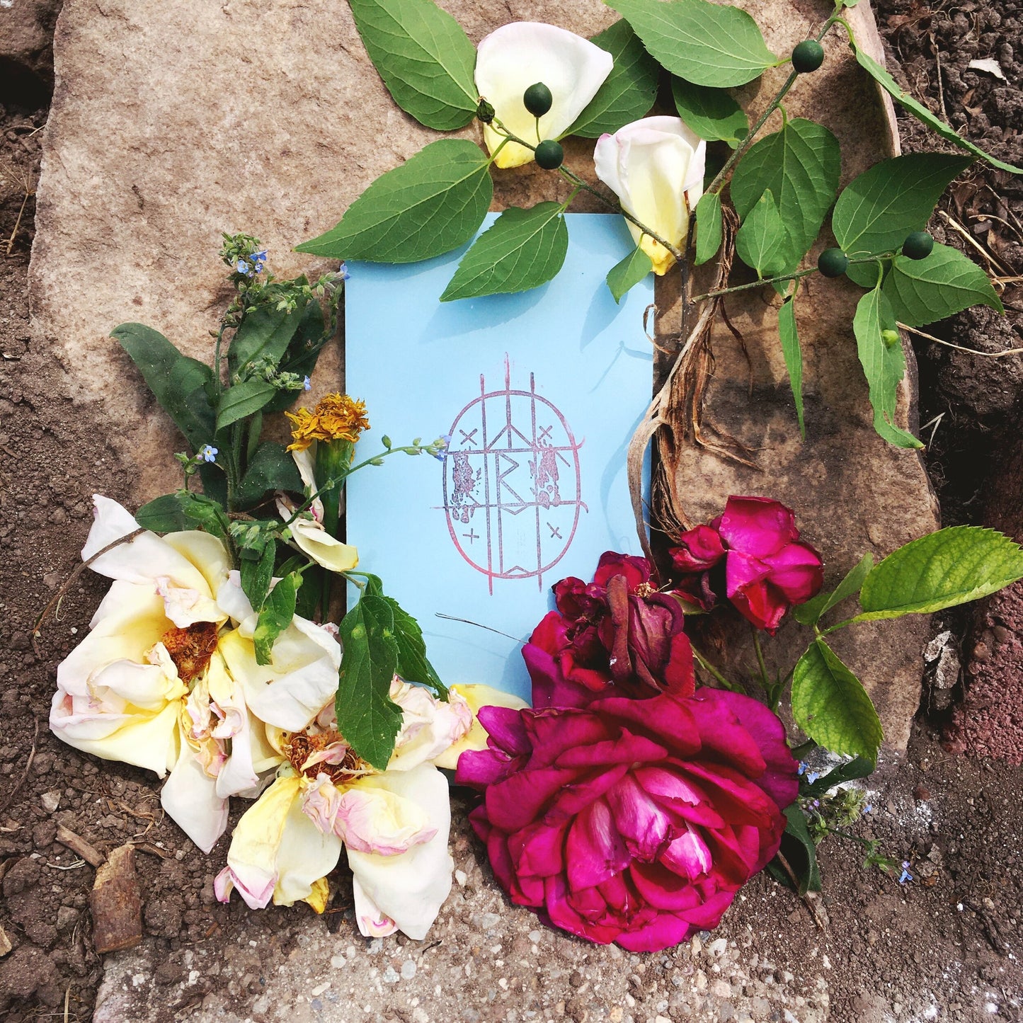 Midsommar Tarot Card Print Set