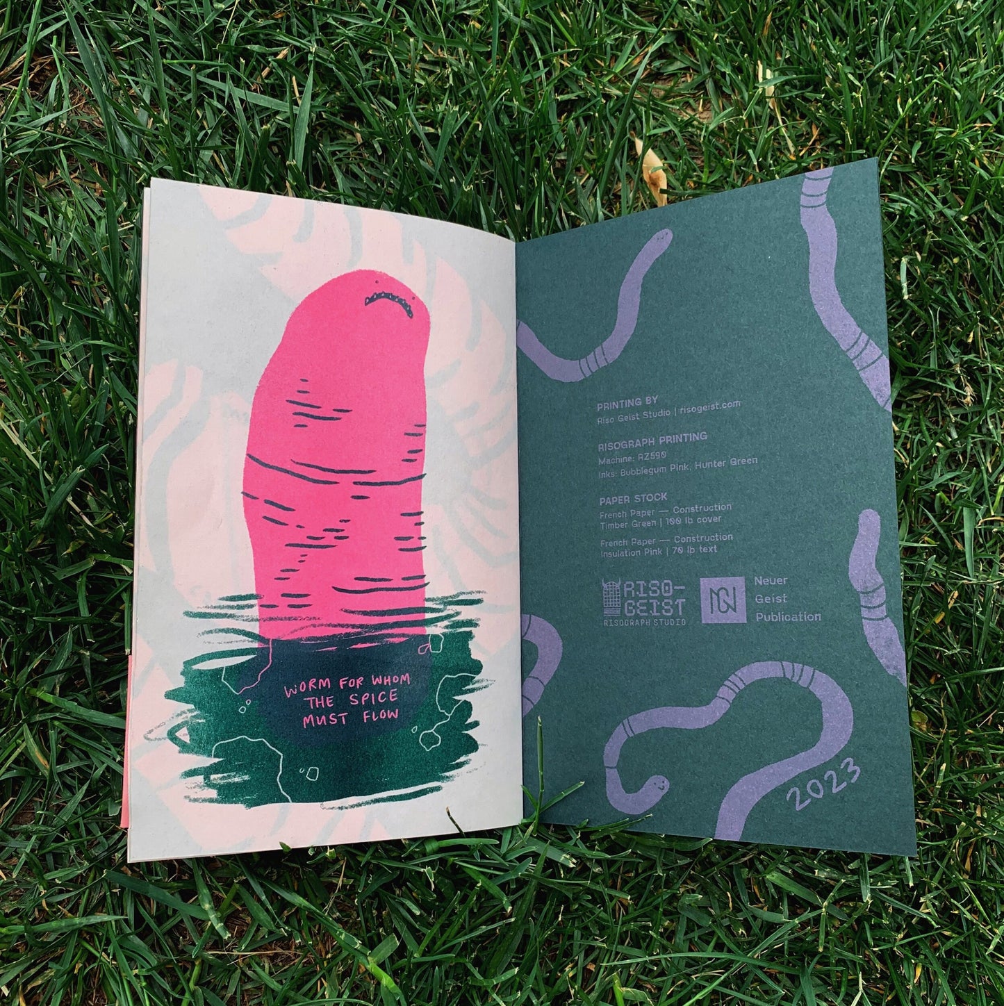 An Illustrated Book About Worms