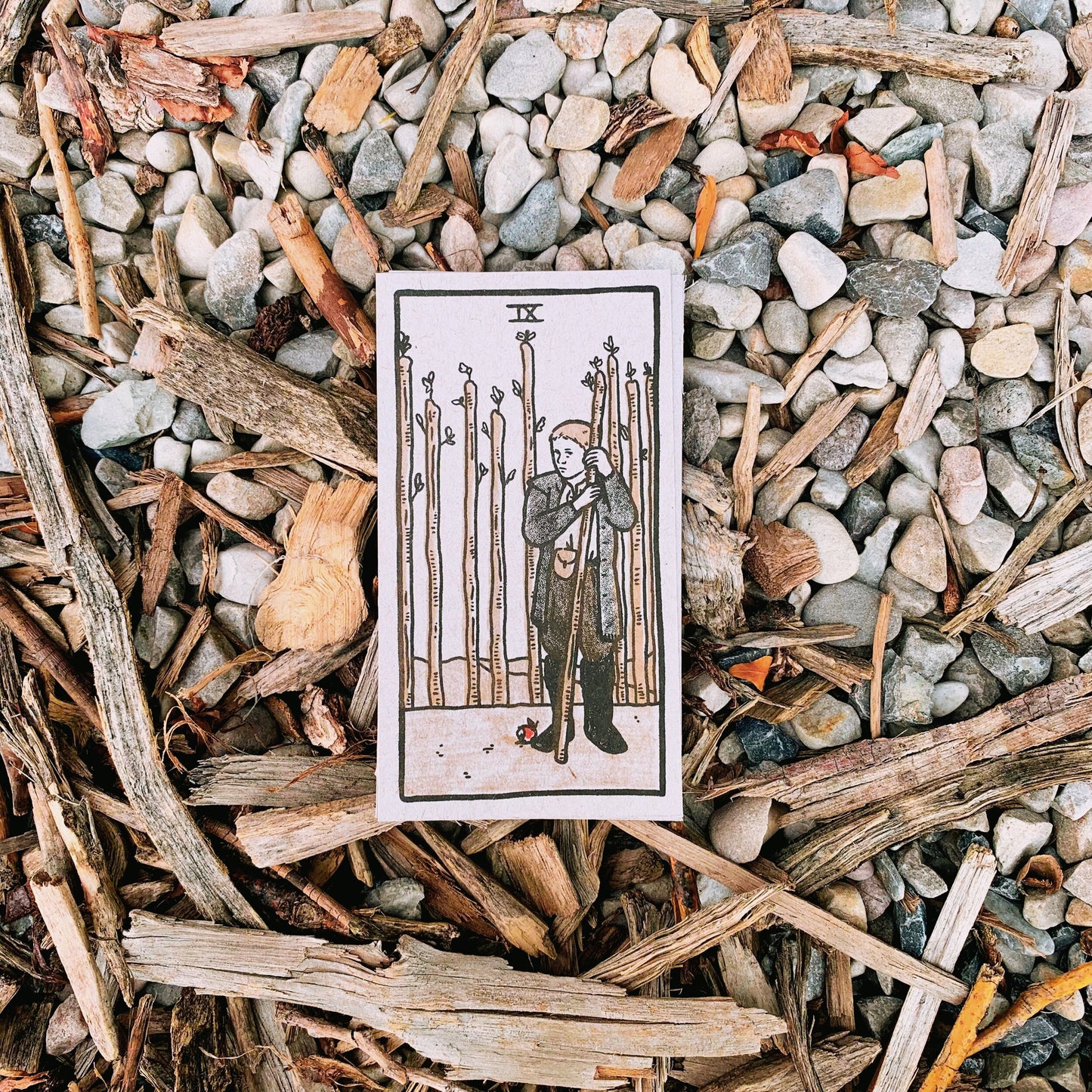 The VVitch Tarot Card Print Set