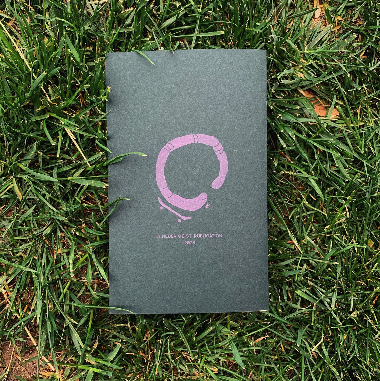 An Illustrated Book About Worms