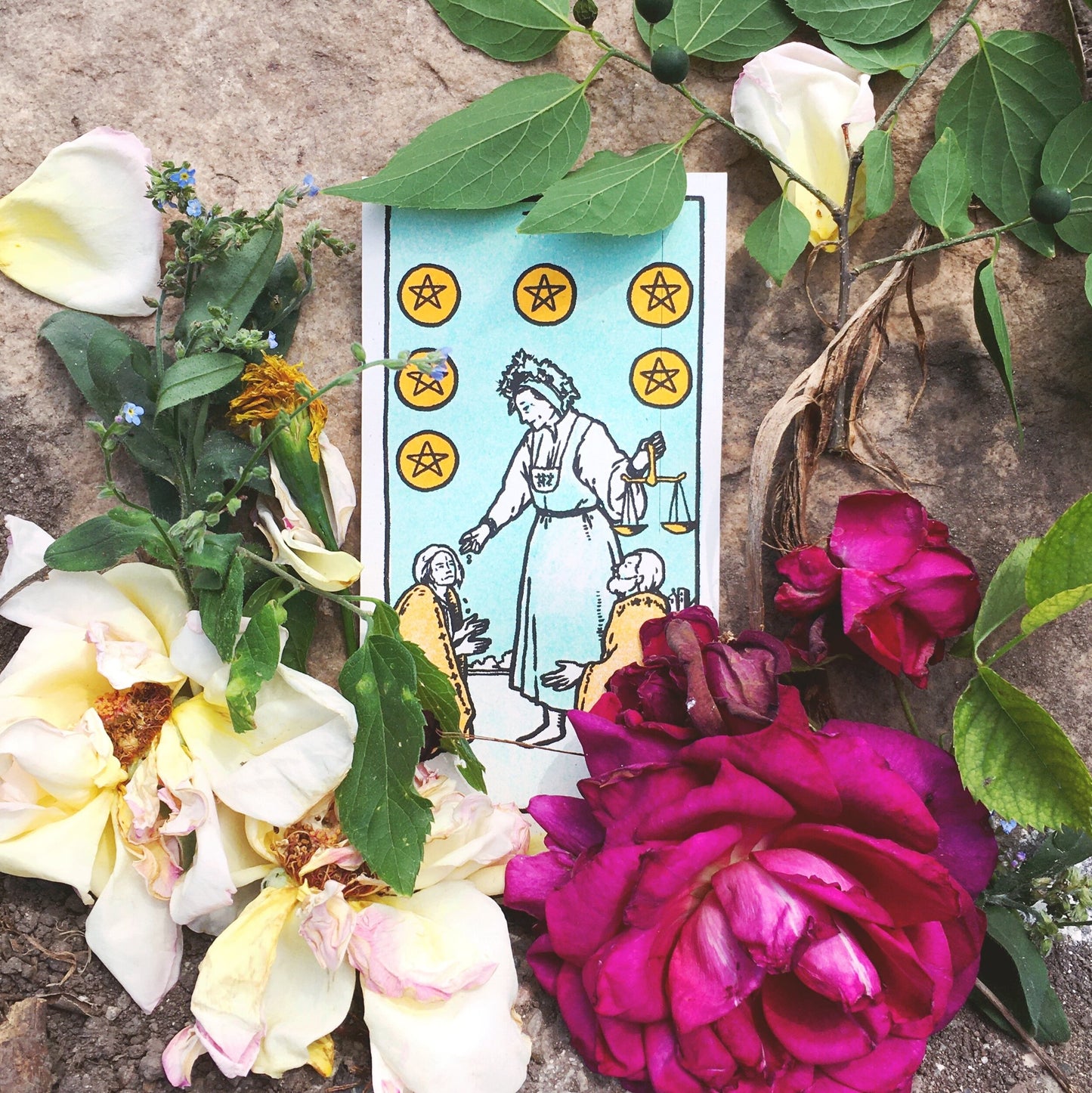 Midsommar Tarot Card Print Set